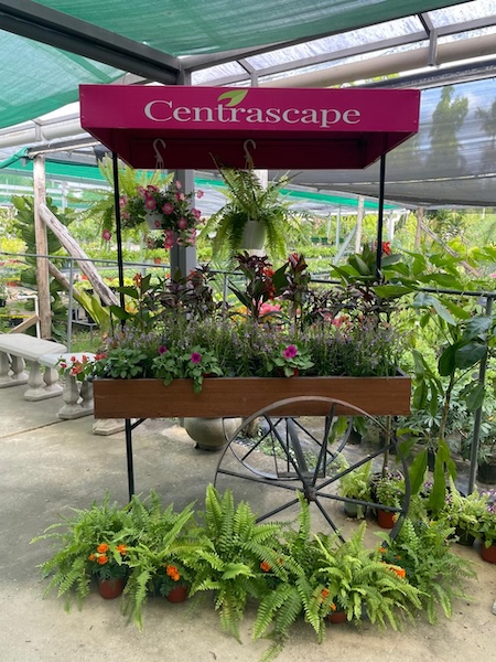 Garden Club May26 1