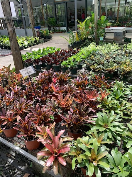 Garden Club May26 3