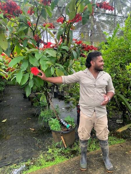 GC Garden 23