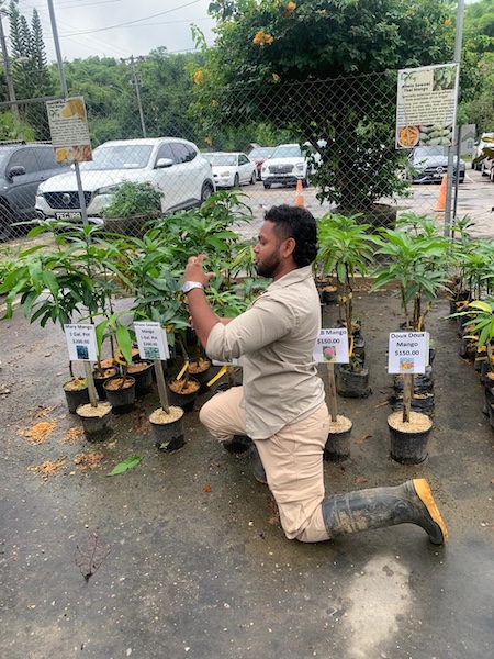GC Garden 27