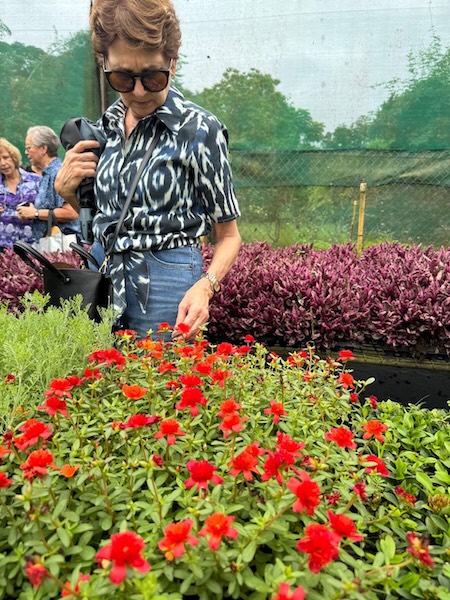 GC Garden 29