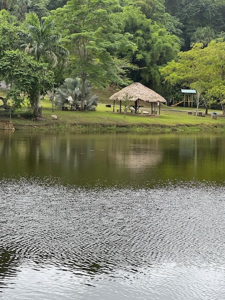 GC Garden 35