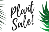 nov plant sale